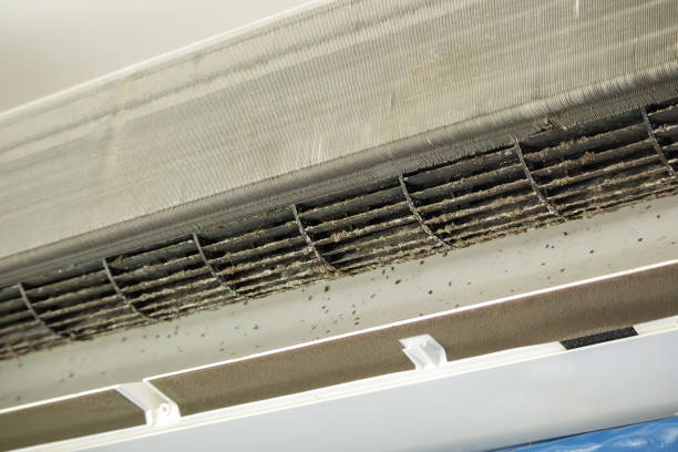Best Ductwork Cleaning Services  in Stanley, NC